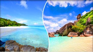 Day tour of Tachai Island, Similan Island (the Maldives of Thailand) and Donald Duck Bay