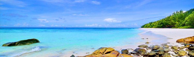 Tachai Island + Similan Island